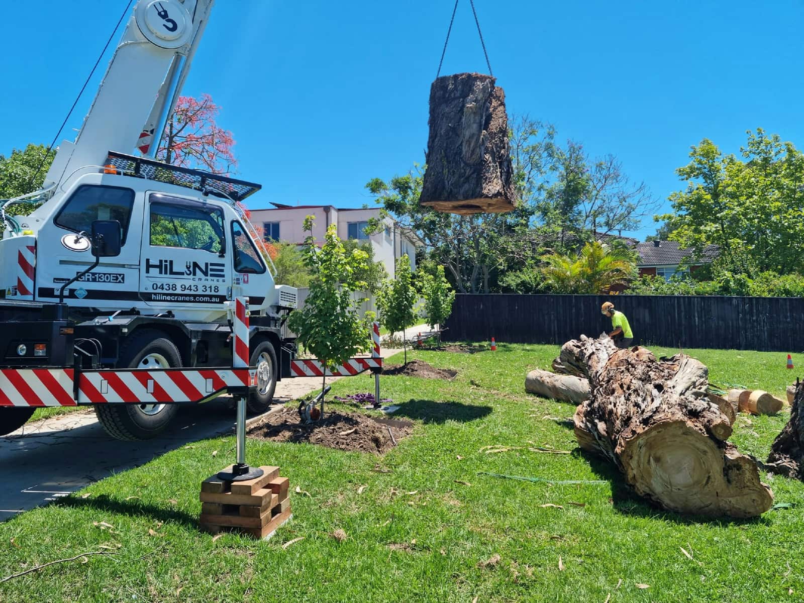 Better Rate Tree Service team at work